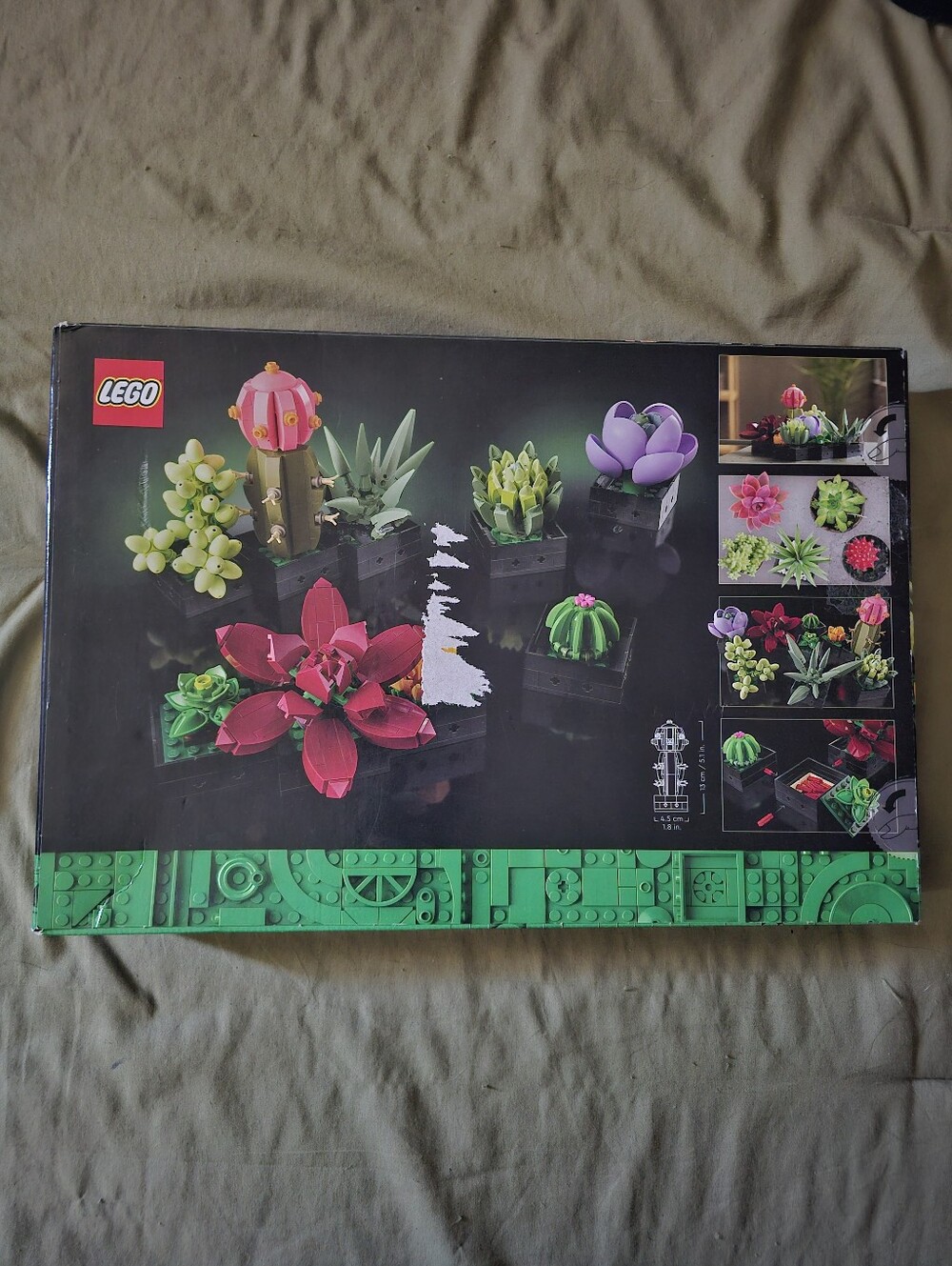 Lego Succulents Botanical Collection - Picture 2 of 3